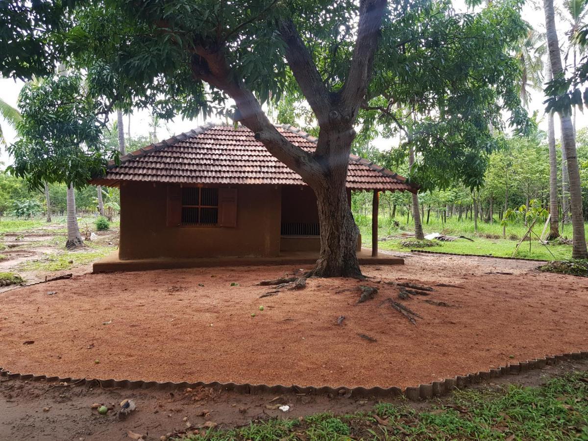 Eco Village Kalundewa Dambulla Exterior foto